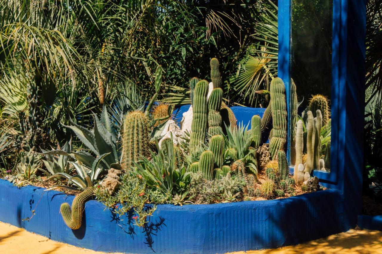 Villa Tropica Kaštela Esterno foto