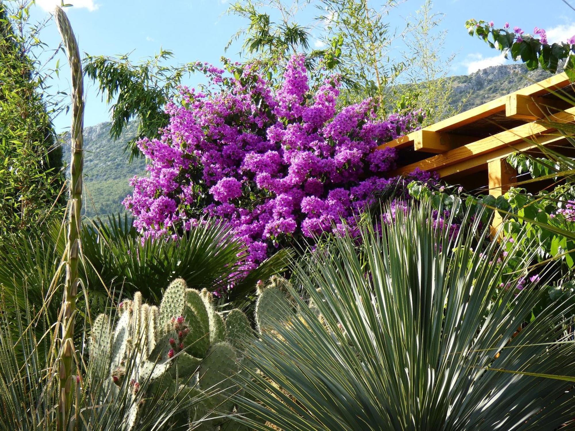 Villa Tropica Kaštela Esterno foto